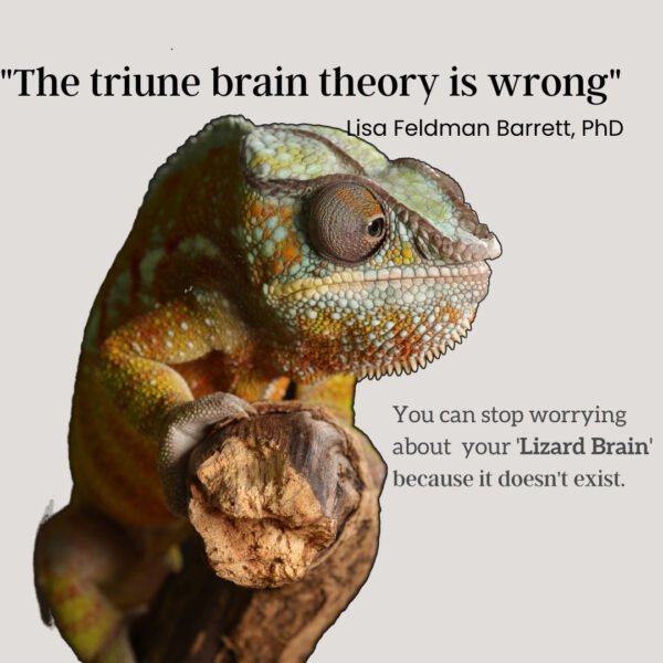 12-You-do-not-have-lizard-brain You do not have a lizard brain