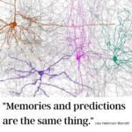 Memories and predictions are the same thing