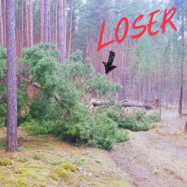 32-Would-you-call-a-tree-a-loser Would you call a tree a loser?