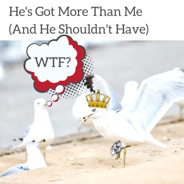 49-Green-Eyed-Monster-Gulls Green-eyed monster seagulls